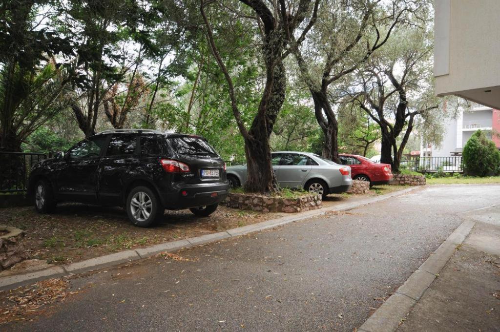 Petrovac Apartment Jana מראה חיצוני תמונה